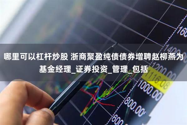 哪里可以杠杆炒股 浙商聚盈纯债债券增聘赵柳燕为基金经理_证券投资_管理_包括