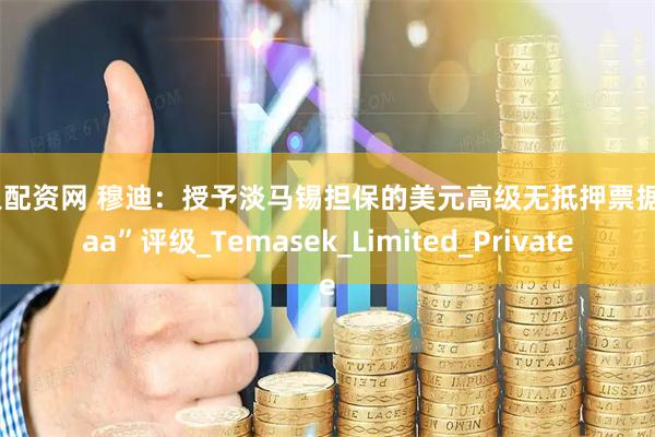 个人配资网 穆迪：授予淡马锡担保的美元高级无抵押票据“Aaa”评级_Temasek_Limited_Private